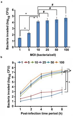 Otopathogenic Pseudomonas aeruginosa Enters and Survives Inside Macrophages
